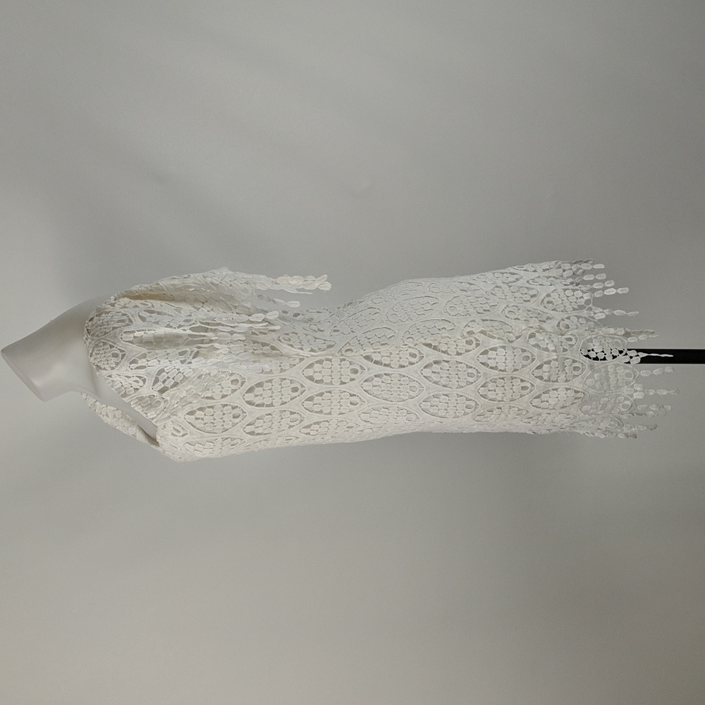 Lioness Dress Size Medium White Lined Cap Sleeves Zip-up Back Lace Fringe BNWT - Picture 3 of 8